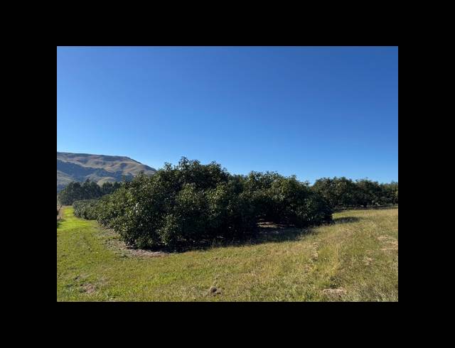 165HA FARM FOR SALE IN RICHMOND RURAL